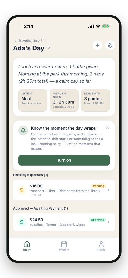 Carelio Today briefing: a child's whole day auto-written in the app's own words — lunch and snacks, a bottle, morning at the park, two naps and three photos — answering the 3pm question the moment it happens